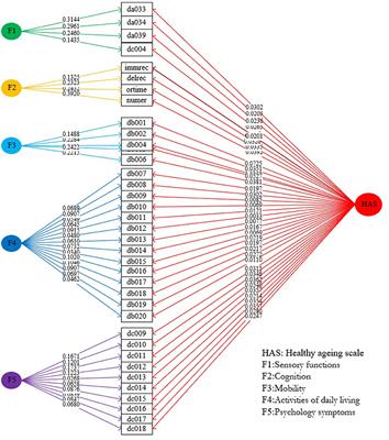 Development and Validation of a Multidimensional Population-Based Healthy Aging Scale: Results From the China Health and Retirement Longitudinal Study